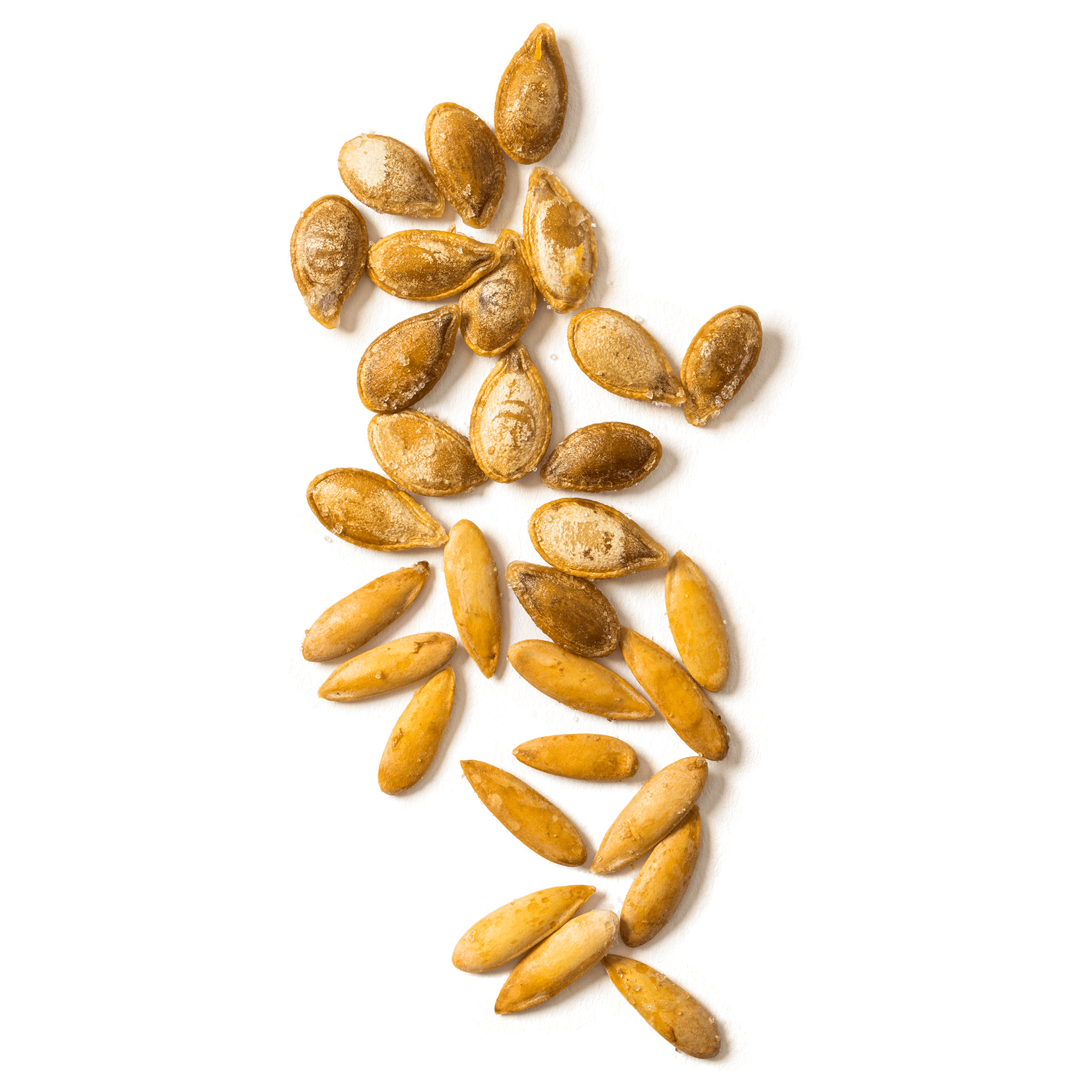 Seeds